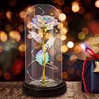 Gomyhom Regalo de Rosas con Flores Artificiales- Rosas arcoíris- luz LED en Vidrio para Decoración del hogar- Regalos…